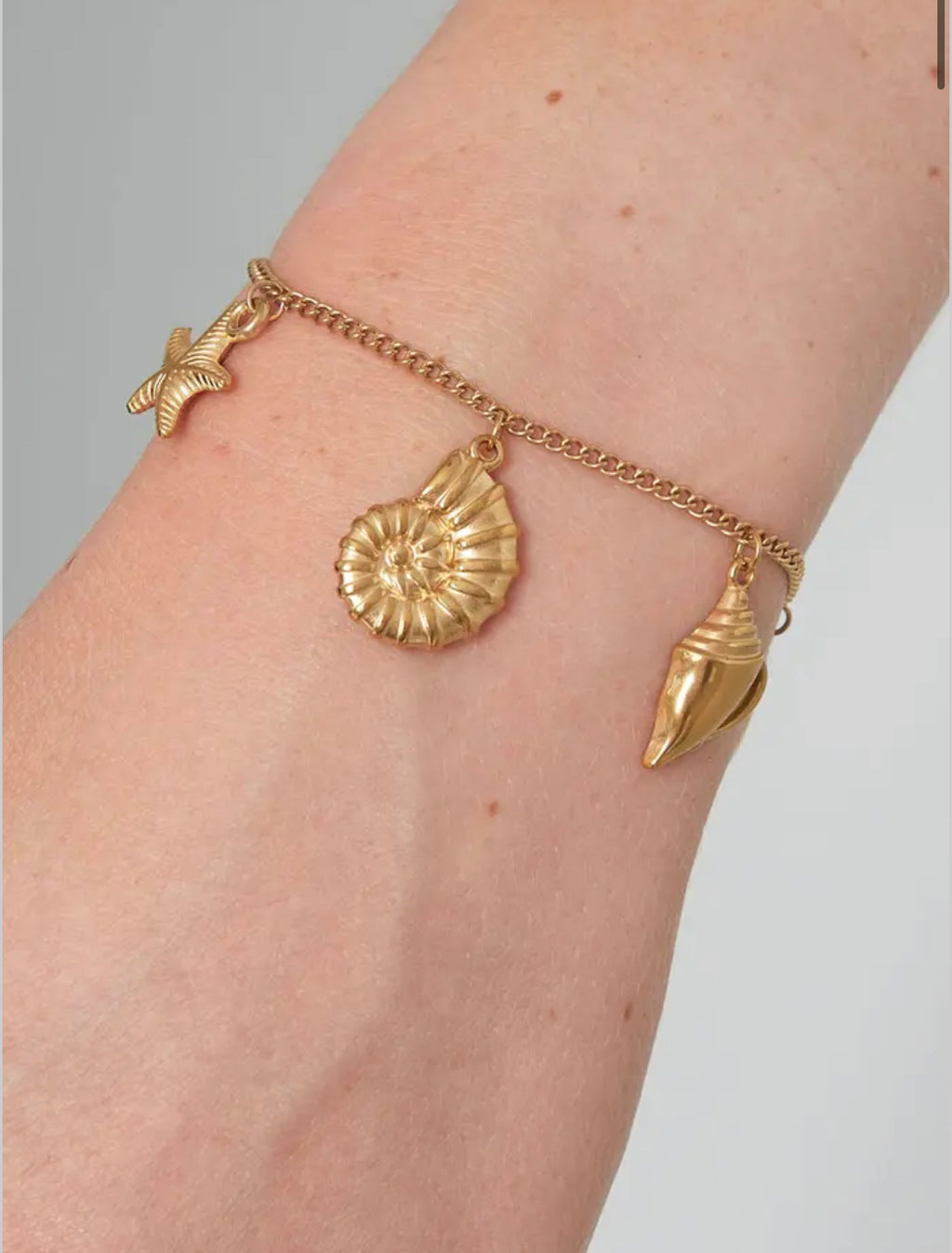 Bracelet coquillage doré - acier inoxydable