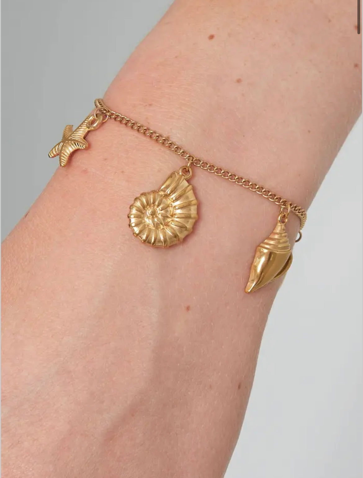 Bracelet coquillage doré - acier inoxydable