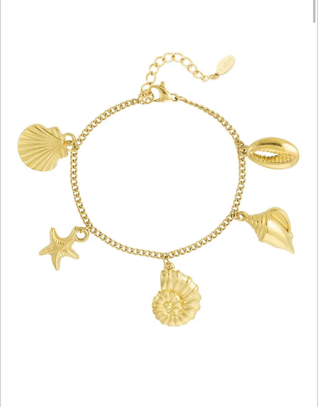 Bracelet coquillage doré - acier inoxydable