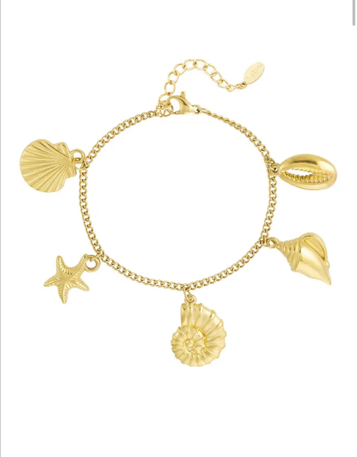 Bracelet coquillage doré - acier inoxydable