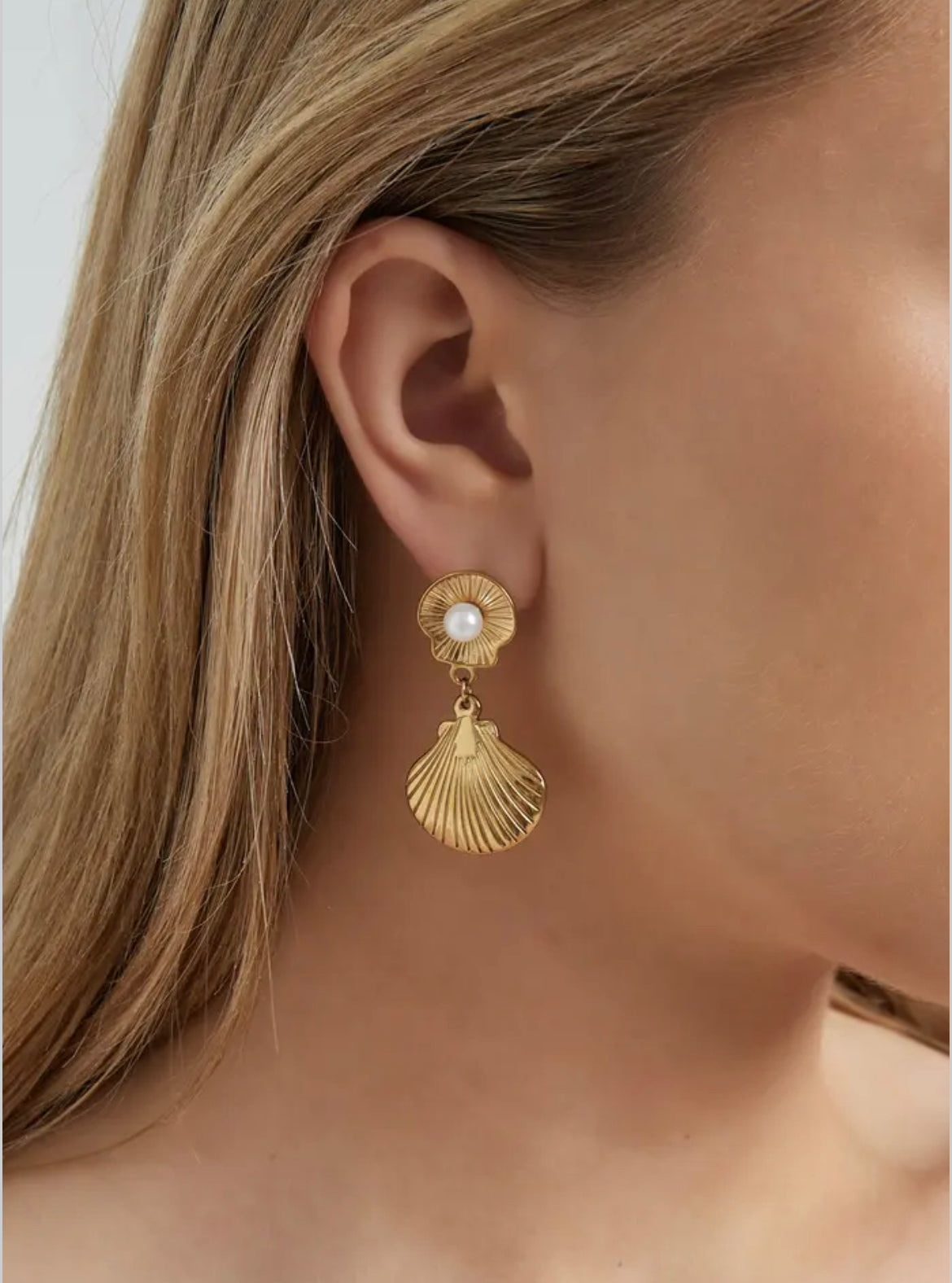 Boucles d’oreilles coquillage - Acier inoxydable