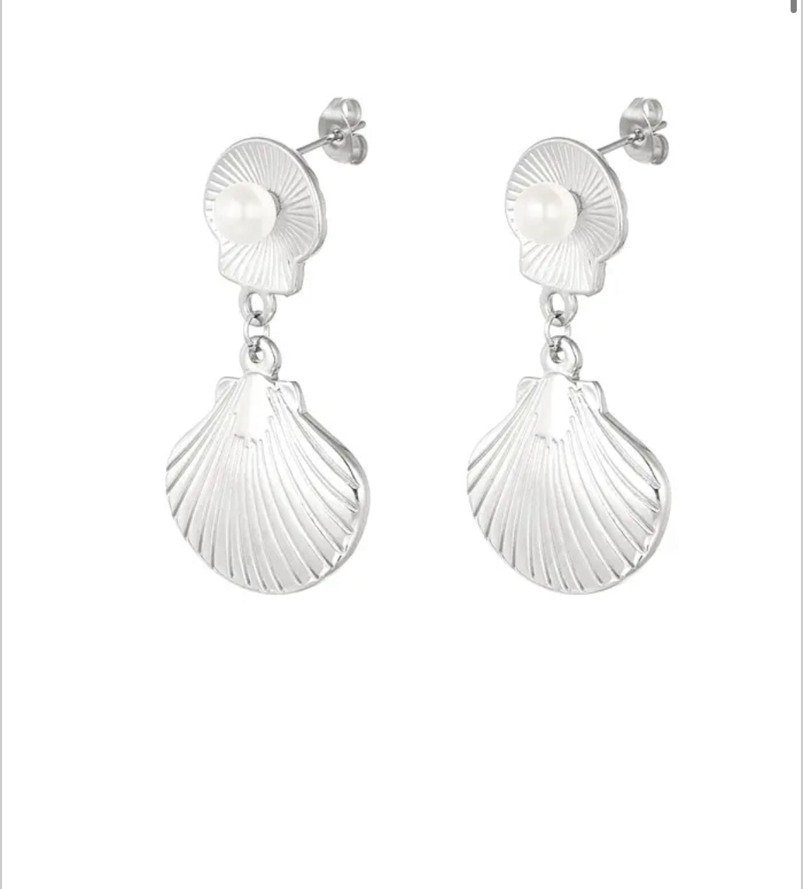 Boucles d’oreilles coquillage - Acier inoxydable