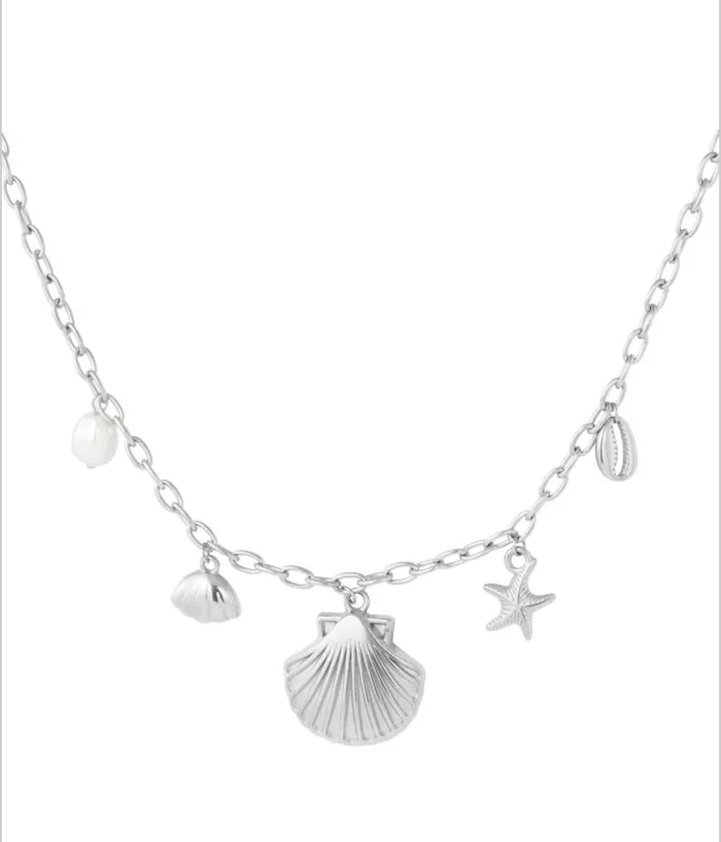Collier coquillage argenté - acier inoxydable